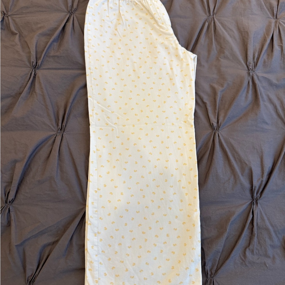 PacSun (John Gott) Drawstring Pants in Duck Print